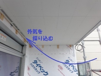軒天