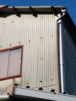 屋根一部破損