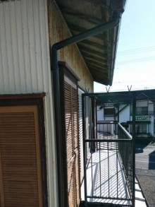 たてどい