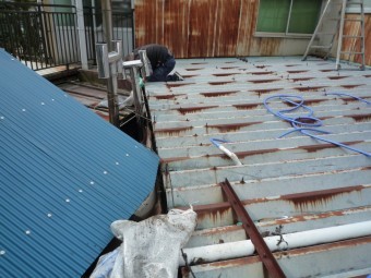 雨樋 掃除