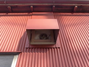 中島平屋事務所