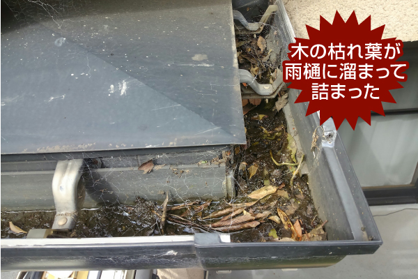 木の枯れ葉が雨樋に溜まって詰まった