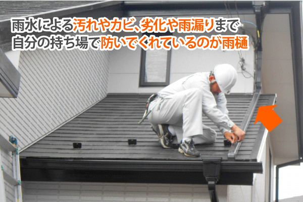 雨水による汚れやカビ、劣化や雨漏りまで自分の持ち場で防いでくれているのが雨樋
