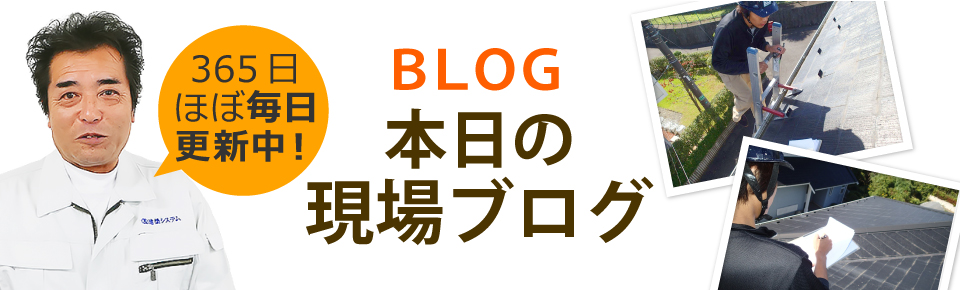 静岡市駿河区、葵区、清水区やその周辺エリア、その他地域のブログ