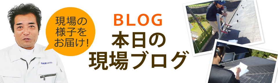 静岡市駿河区、葵区、清水区やその周辺エリア、その他地域のブログ