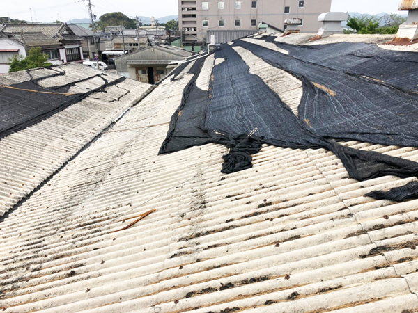 静岡県湖西市で工場の雨漏りで困っているというご相談がありました。