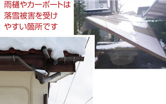 雨樋やカーポートは落雪被害を受けやすい場所です